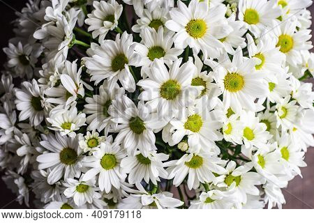 Floral Gift Composition