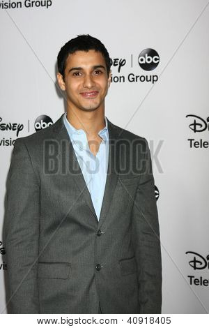 LOS ANGELES - JAN 10: Elyes Gabel overværer ABC TCA vinter 2013 Party på Langham Huntington Hotel