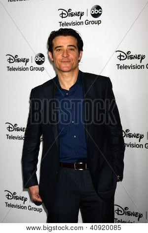 LOS ANGELES - JAN 10: Goran Visnjic navštěvuje strana ABC TCA zima 2013 v Langham Huntington Hot