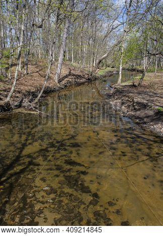 St Joseph Creek Flows Through Maple Grove Forest Preserve In Spring With Last Year's Leaves And Shad
