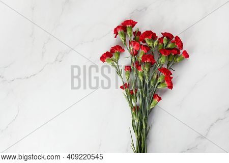 Beaytiful Carnation Flowers On Marble Background. Top View