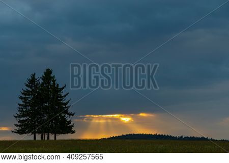 Landscape at sunset in Slavkovsky les near Horni Slavkov, Western Bohemia, Czech Republic