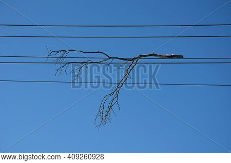 Fallen Branch Lies On High Voltage Wires. There Is A Risk Of Interruption And Short Circuit Of Elect