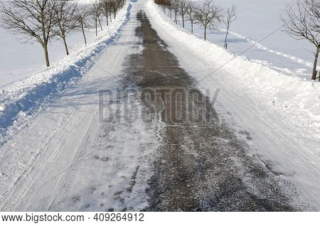Rowan Tree In An Alley Along A Frozen Partially Snowy Country Road. One Tree Is Thrown To The Side B