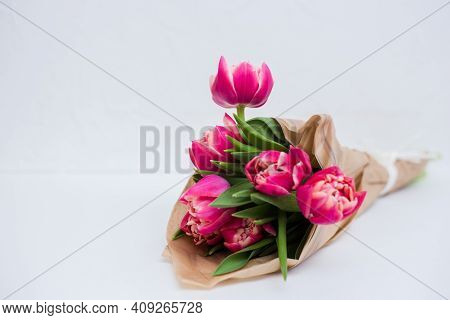 Beautiful Tseti Tulips On A Gray Background