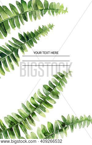 Watercolor Fern. Watercolour Leaves Frame. Design For A Greeting, Wedding Invitation, Postcard, Card