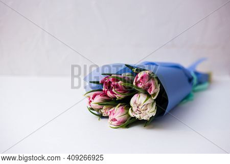 Beautiful Tseti Tulips On A Light Background