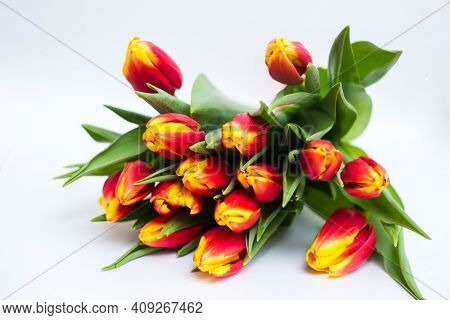 Beautiful Tseti Tulips And Roses On A Light Background