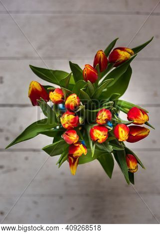 Beautiful Tseti Tulips On A Light Background