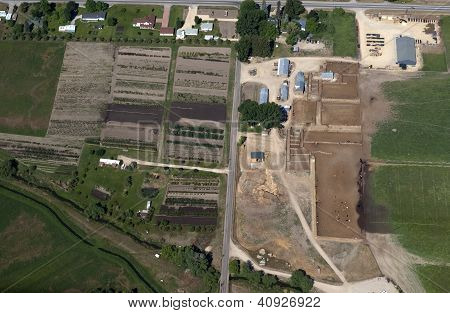 aerial view of a tree farm and a cattle feedlot