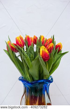 Beautiful Tseti Tulips On A Light Background