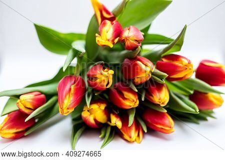 Beautiful Tseti Tulips And Roses On A Light Background