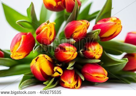 Beautiful Tseti Tulips And Roses On A Light Background