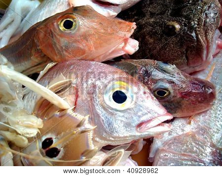 Mix di ingredienti zuppa pesce