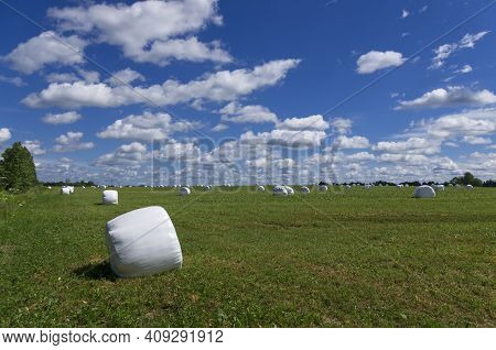 In The Foreground There Is A Large Roll Of Hay In Plastic And In The Distance There Are Many Rolls I