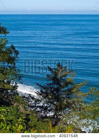 A View Of The Ocean From A Cliff With Trees And Plants Growing On The Cliffside.