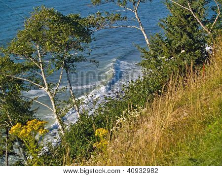 A View Of The Ocean From A Cliff With Trees And Plants Growing On The Cliffside.