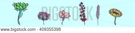Set Of Flower Cartoon Icon Design Template With Various Models. Modern Vector Illustration Isolated 