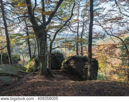 View Of Colorful Vivid Deciduous Beech And Pine Tree Forest And Hills From Viewpoint Called Vyhlidka