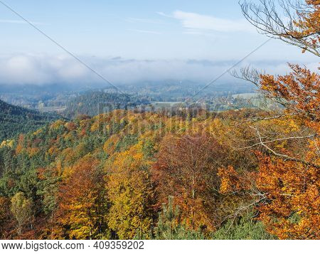 View Of Colorful Vivid Deciduous Beech And Pine Tree Forest And Hills From Viewpoint Called Vyhlidka