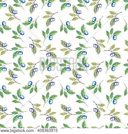 Watercolor Seamless Pattern With Juniper Isolated On White Background.