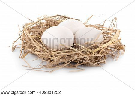 Duck Egg Close Up Isolated On White Background.
