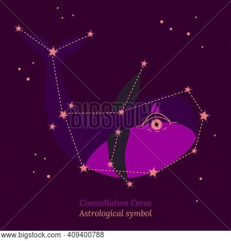 Abstract illustration of constellation Cetus,connection of stars in sky, star map. Astrological symbol on dark purple background. Vector illustration for card tarot design, social groups, communities.