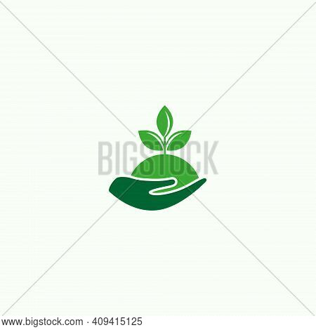 Vector Illustration Of Palms And Green Plants For Plantation Land Icon, Symbol Or Logo. Garden Logo.