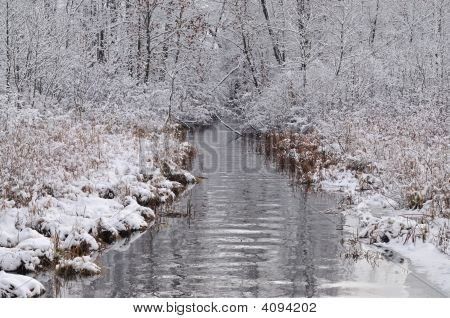 Winter Tamarack Creek