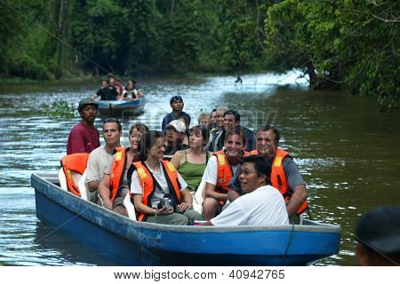 Kinabatangan River Safari