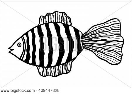 Fish, Hand Drawn Isolated Vector Illustration In Black And White