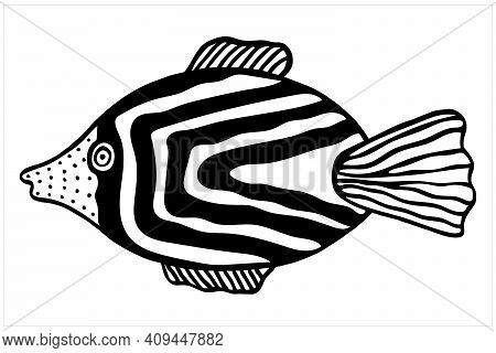 Fish, Hand Drawn Isolated Vector Illustration In Black And White