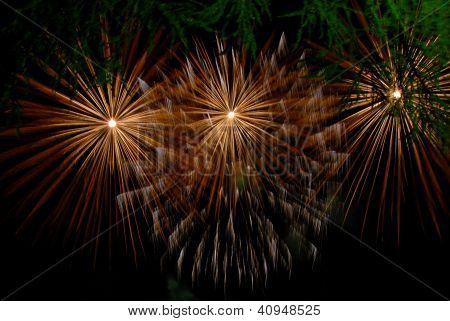 Vuurwerk achter de bomen