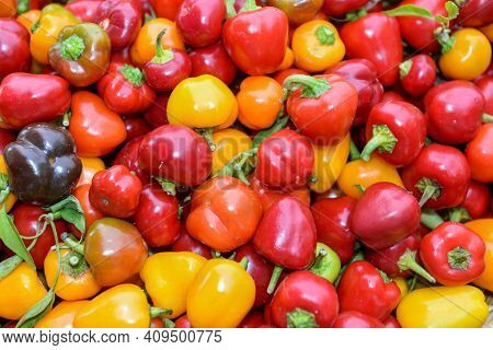 Tomatoes And Peppers And Other Different Kinds Of Vegetables In A Street Market In Union Square, Man