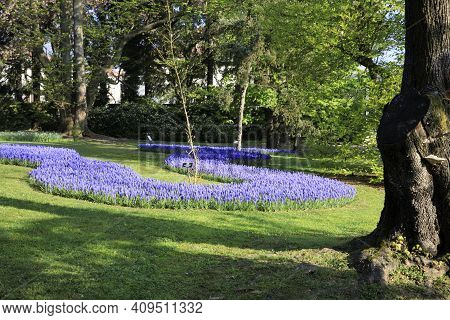 Verbania (vco), Italy - April 01, 2017: Villa Taranto Botanical Gardens, Verbania, Piedmont, Italy