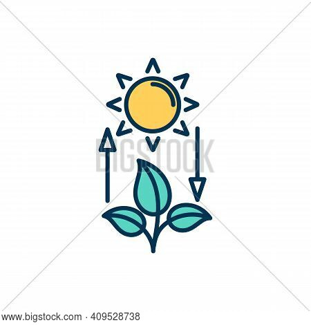 Competent Photosynthesis Rgb Color Icon. Using Energy From Sunlight. Green Plants, Leaves, Flowers. 