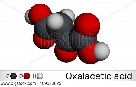 Oxaloacetic Acid, Oxalacetic Acid, Oaa, Oxaloacetate Molecule. It Is Oxodicarboxylic Acid,  Metaboli
