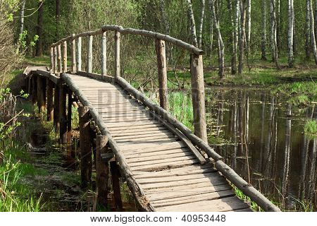 brug in het voorjaar forest