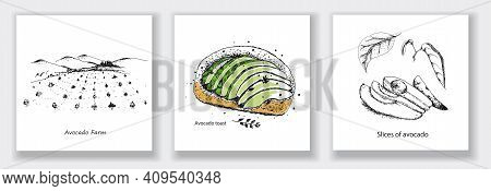 Card With Avocado Farm, Avocado Toast, Slices Of Avocado