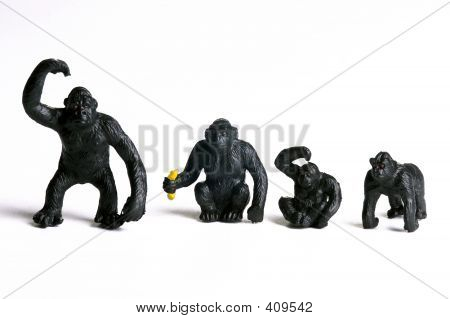 Aber familie