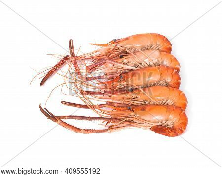 Shrimps An Isolated On A White Background
