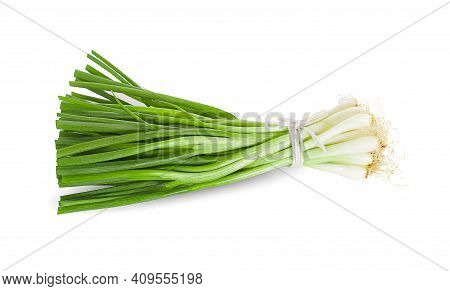 Spring Onion Isolated On A White Background