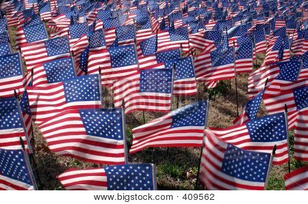 American Flags