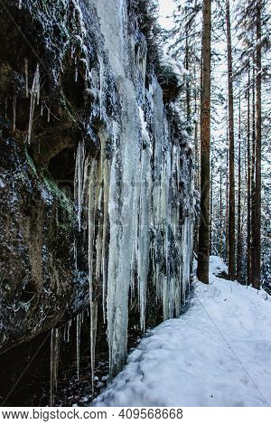 Fascinating Ice Formations And Icicles Called Brtnicke Ice Falls,cz Ledopady, In Bohemian Switzerlan