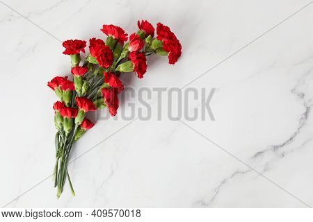 Beaytiful Carnation Flowers On Marble Background. Top View