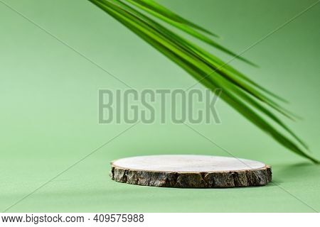 Podium For Product Presentation. A Minimalistic Scene Of A Felled Tree Lies Against A Green Backgrou