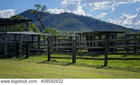 Empty Cattle Yards With Timber Fencing On A Rural Property
