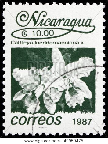 Postage stamp Nicaragua 1987 Lueddemann's Cattleya, Orchid