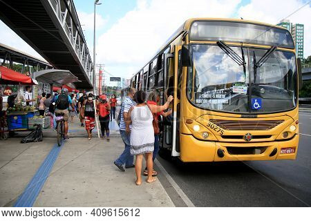 Public Transport Bus In Salvador