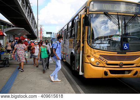Public Transport Bus In Salvador